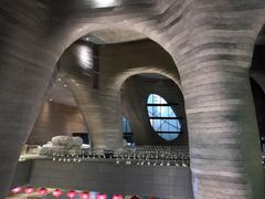 -证大喜玛拉雅中心