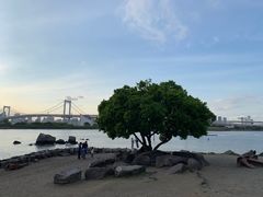 -台场海滨公园船码头