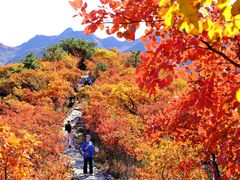 -妙峰山风景名胜区