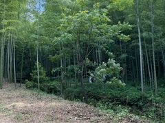 -黄公望隐居地