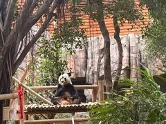 -灵玲国际马戏城