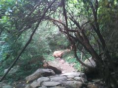 android_upload_pic-百泉山景区餐厅