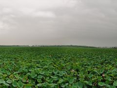 -天津东丽湖风景区
