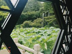 -杭州西子湖四季酒店-WL BISTRO西湖餐厅(灵隐路店)