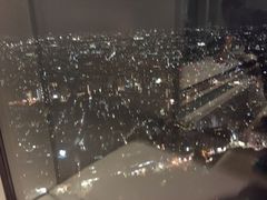-东京都厅舍