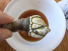 -坛南湾阿强农家乐.海鲜大排档老字号(福州地标美食店)