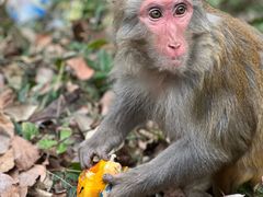 -黔灵山公园-南门售票处