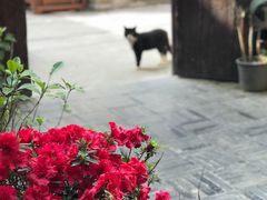 -二楼南书房
