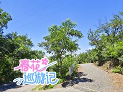 -欢乐松鼠谷