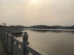 -鹤之洲湿地公园