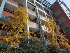 -武汉市洪山区卓刀泉小学