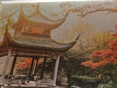 -长沙晚报大道亚朵酒店