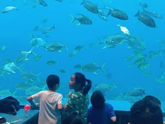 -瑞德姆美人鱼海底演艺主题餐厅(亚龙湾店)