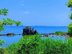 -上海吴淞炮台湾国家湿地公园