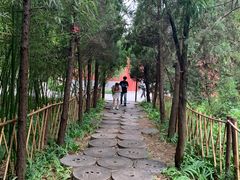 -洛阳白马寺