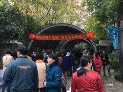 -人民公园-相亲角