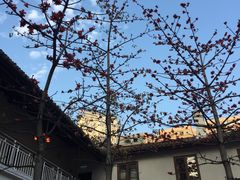 -隆涛院