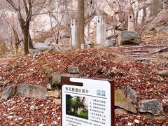 -崂山巨峰游览区