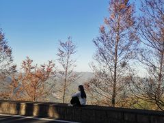 -莫干山风景区