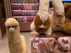 -国药中服免税(北京坊店)