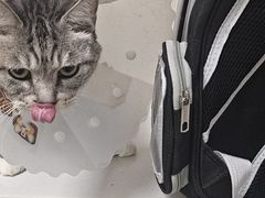 -达爱动物医院·犬猫分区·CT·复杂眼科(远洋山水分院)