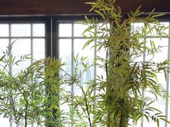 -洞庭土菜馆(天河北总店)
