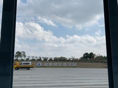 -上海国际音乐村