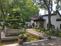 -上海醉白池公园