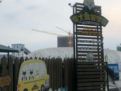 -柴犬高等学院·狗咖·柴犬售卖·宠物训练