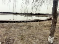 -西青郊野公园