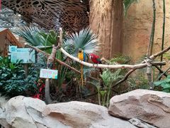 -杭州开元森泊度假乐园