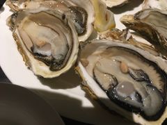 生蚝-半岛翡丽海鲜自助餐厅(观风亭店)