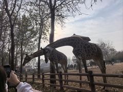 -大连森林动物园