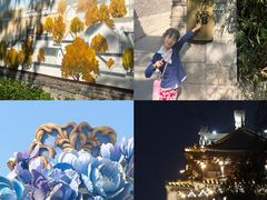 -济南喜来登酒店