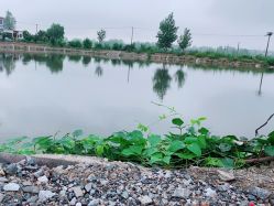-Oasis Beauty水磨坊科技美肤中心
