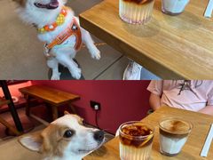 -Punchline Coffee&Roaster(同济大学店)