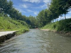 -天目湖松岭竹海漂流