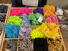 -茑屋书店(天目里店)