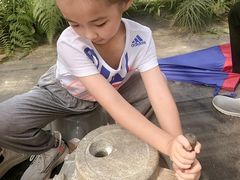 -前小桔亲子创意农场·草莓采摘·露营烧烤