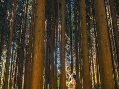 -山王坪喀斯特国家生态公园
