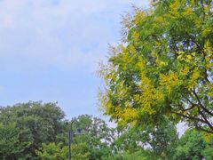 -玄武湖景区-情侣园游乐场