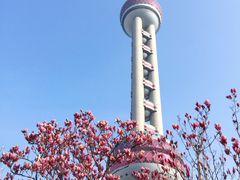 -陆家嘴空中步行连廊