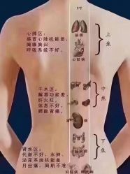 点击看大图 -香薇妮丝女子减肥院