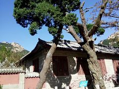 -青岛崂山太清宫