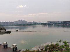 -桃源阁(西樵山店)