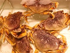 -万龙洲海鲜(大兴绿地缤纷城店)