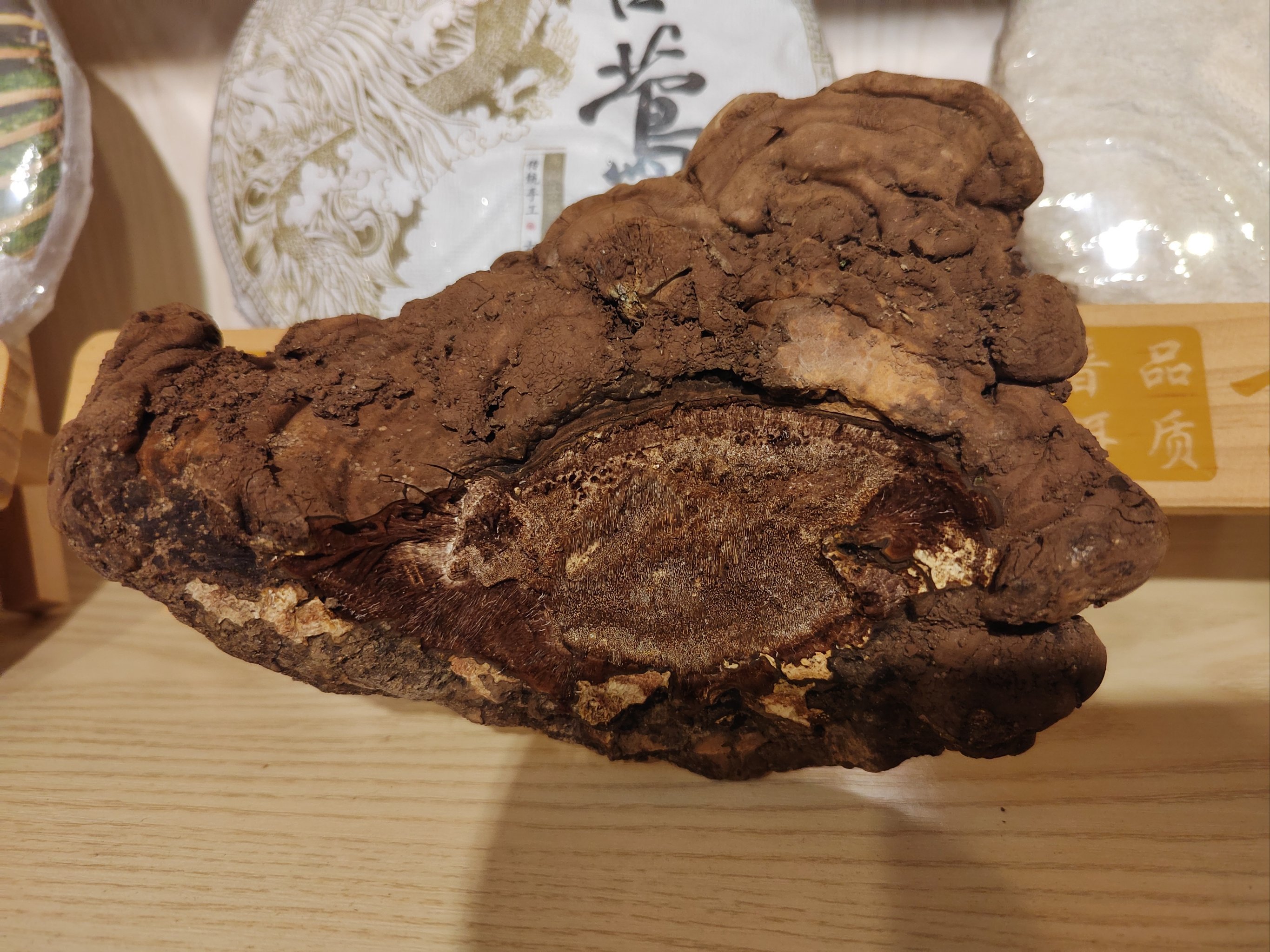 杭州灵隐寺附近山上惊现野生灵芝!