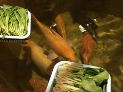 -石岐佬中山菜馆(张溪店)