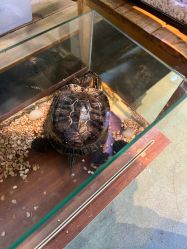 -酷嗒动物文化乐园(cutezoo西溪乐天城店)