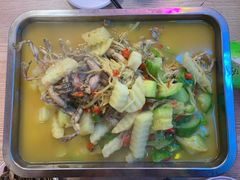 -四姐南瓜田鸡(202店)